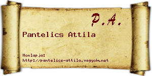 Pantelics Attila névjegykártya