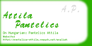 attila pantelics business card